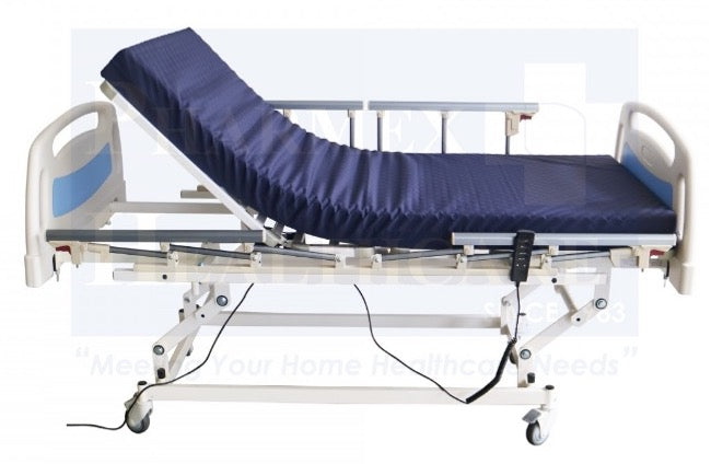 ASSURE REHAB Electric Low Bed ABS